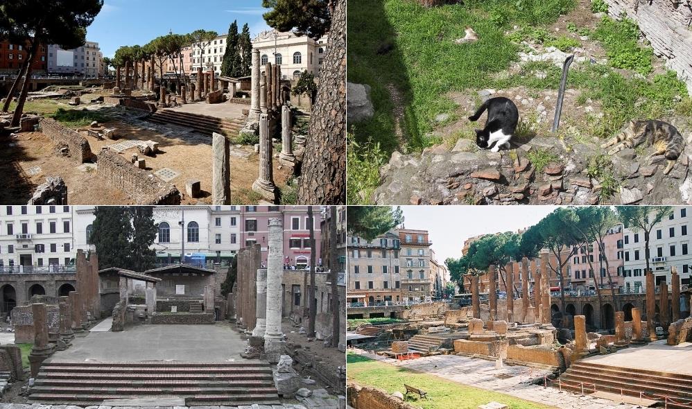 Largo Di Torre Argentina In Rome World Easy Guides