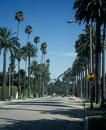 Sunset Boulevard LA, Sunset Boulevard Los Angeles