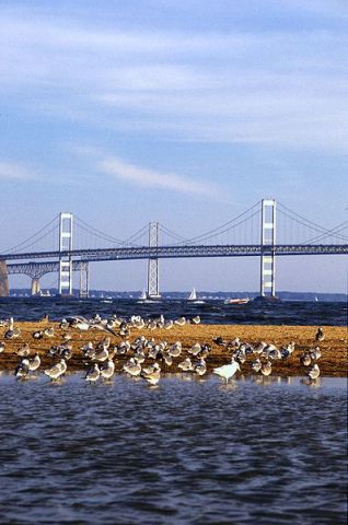 Chesapeake Bay USA