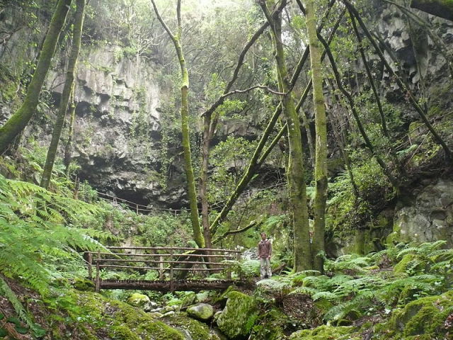 La Palma Spain, La Palma Canary Islands