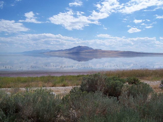 Antelope Island Salt Lake