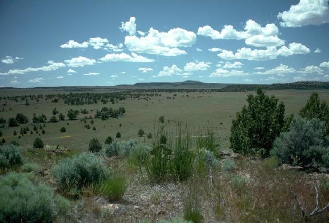 High Desert Oregon USA