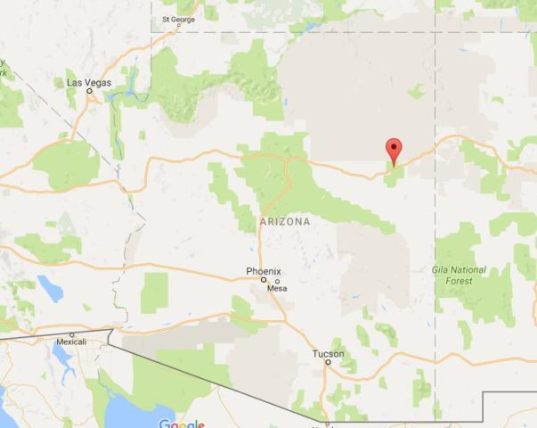 location-petrified-forest-on-map-arizona