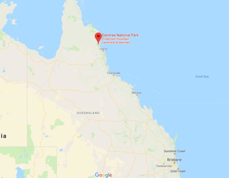 Where is Daintree National Park on map of Queensland