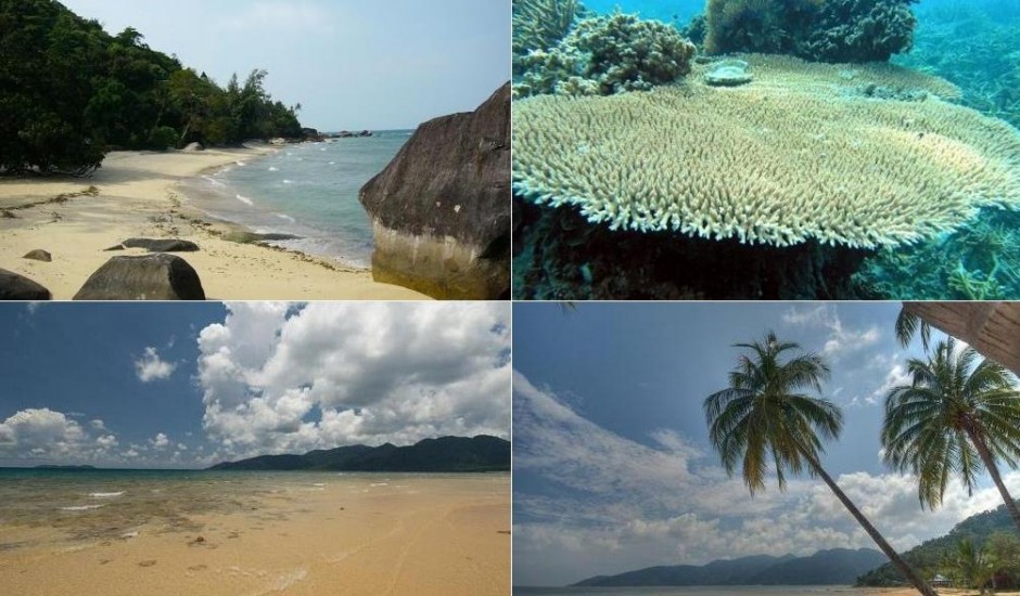 Tioman Island see do visit