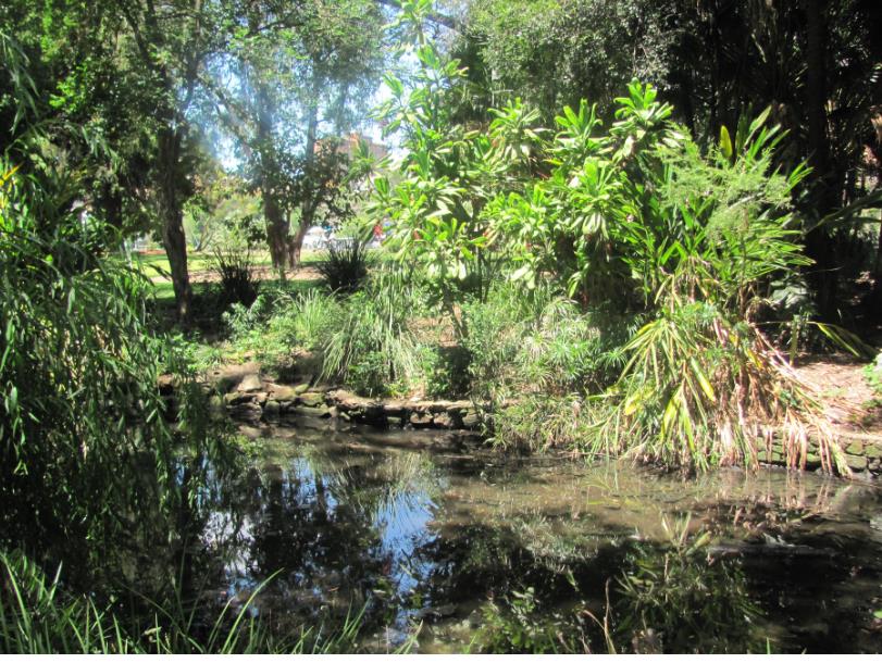 Pond Botanic Garden