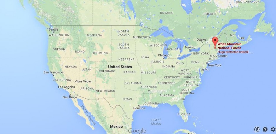 Where is White Mountain National Forest on map USA